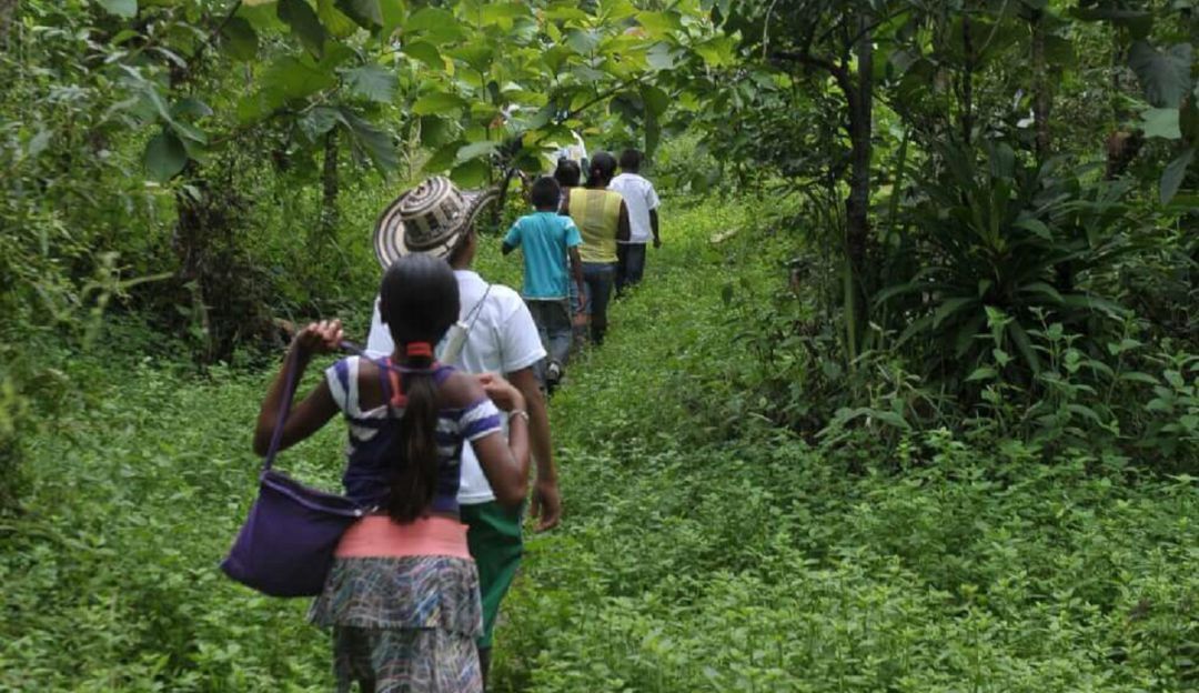 Más de 70 empresas deberán restituir tierras a campesinos en el país