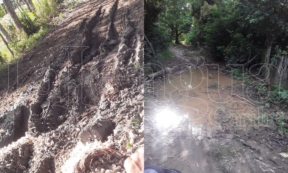 Campesinos en el sur de Chimá no pueden sacar sus productos, las vías están vueltas un barrial