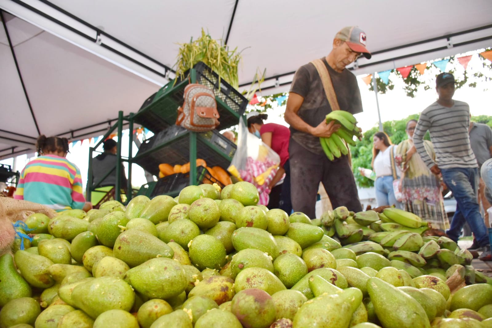 Productores del campo despiden el año con mercado campesino navideño