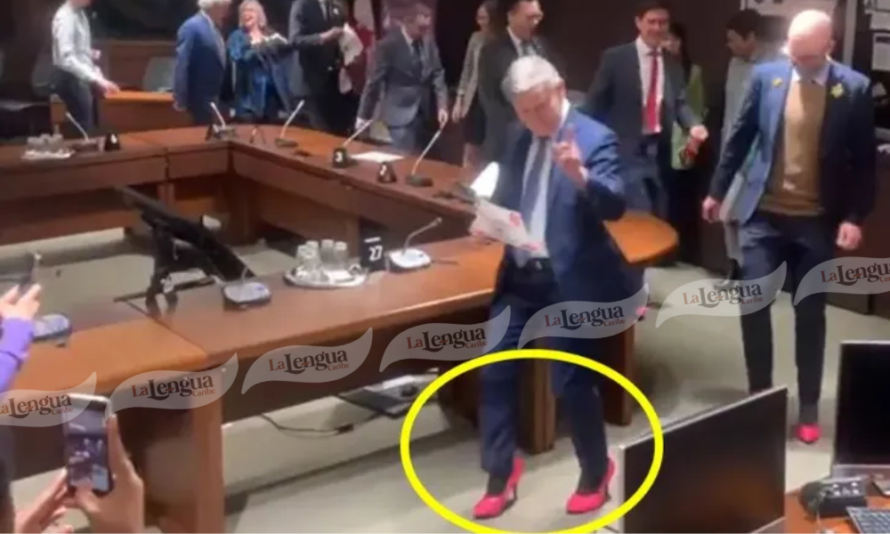 ¡En tacones! políticos canadienses concientizaron sobre la violencia contra la mujer