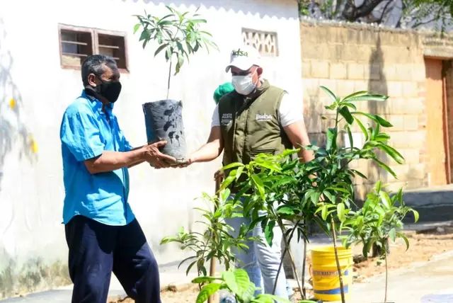 Santa Marta es una “Ciudad Árbol del Mundo” según la FAO