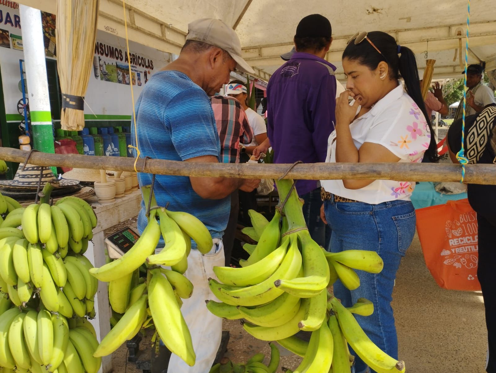 En Montería se realizará un nuevo mercado campesino este 20 de mayo