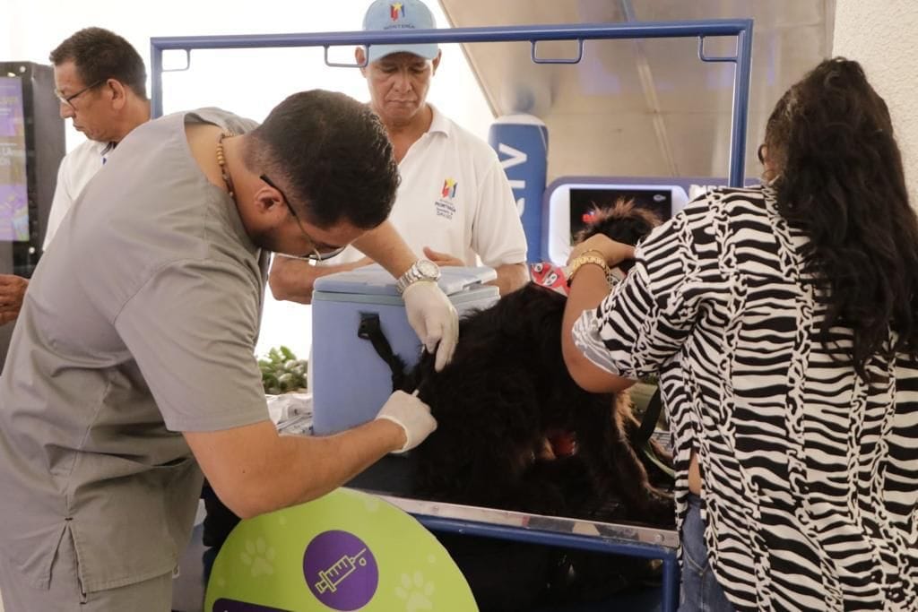 Perritos y gaticos tienen un nuevo hogar gracias a la jornada de sanidad y adopción animal del centro Huellas en Montería