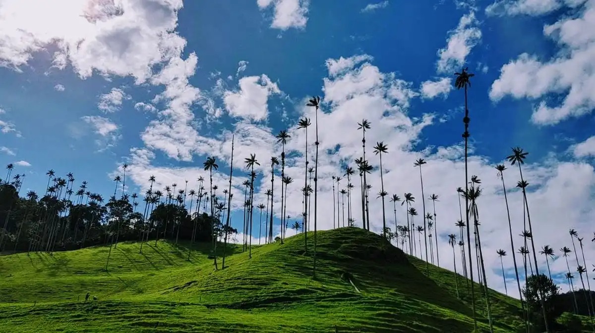 Por su belleza y variado paisaje natural Colombia es clasificado como el tercer país más bonito del mundo