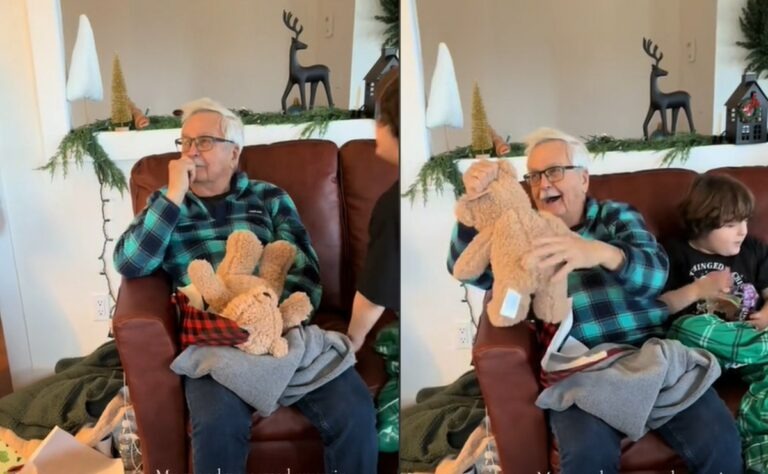 ¿Fue una buena idea? A abuelito le regalaron un peluche con la voz de su difunta esposa  