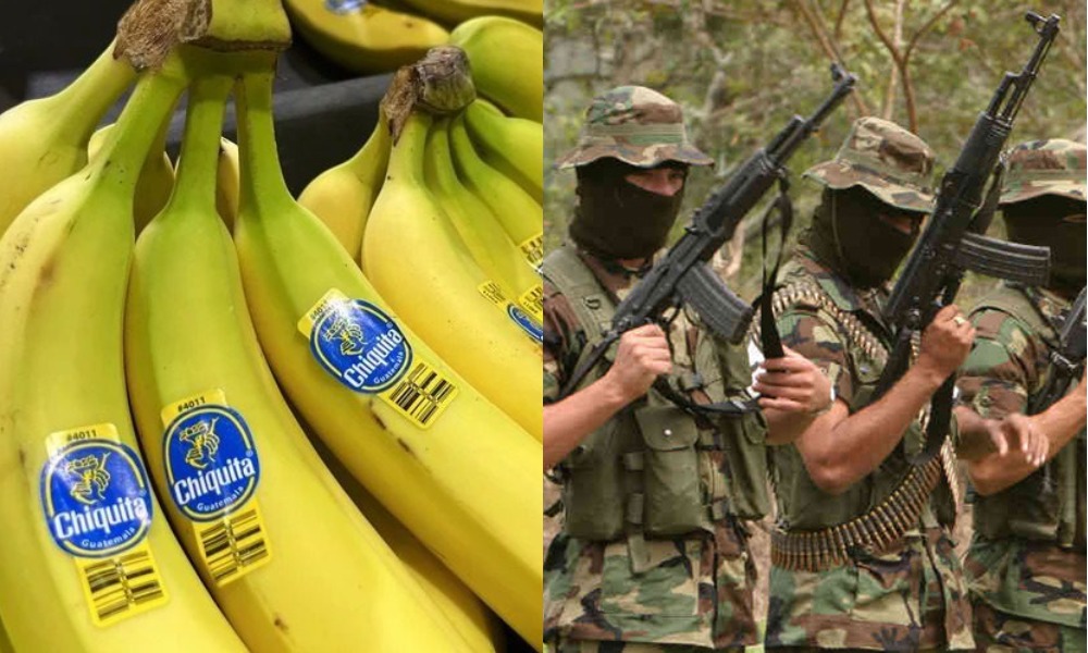 ¡Se hizo justicia! Chiquita Brands sí financió el paramilitarismo en Colombia, deben indemnizar a las víctimas