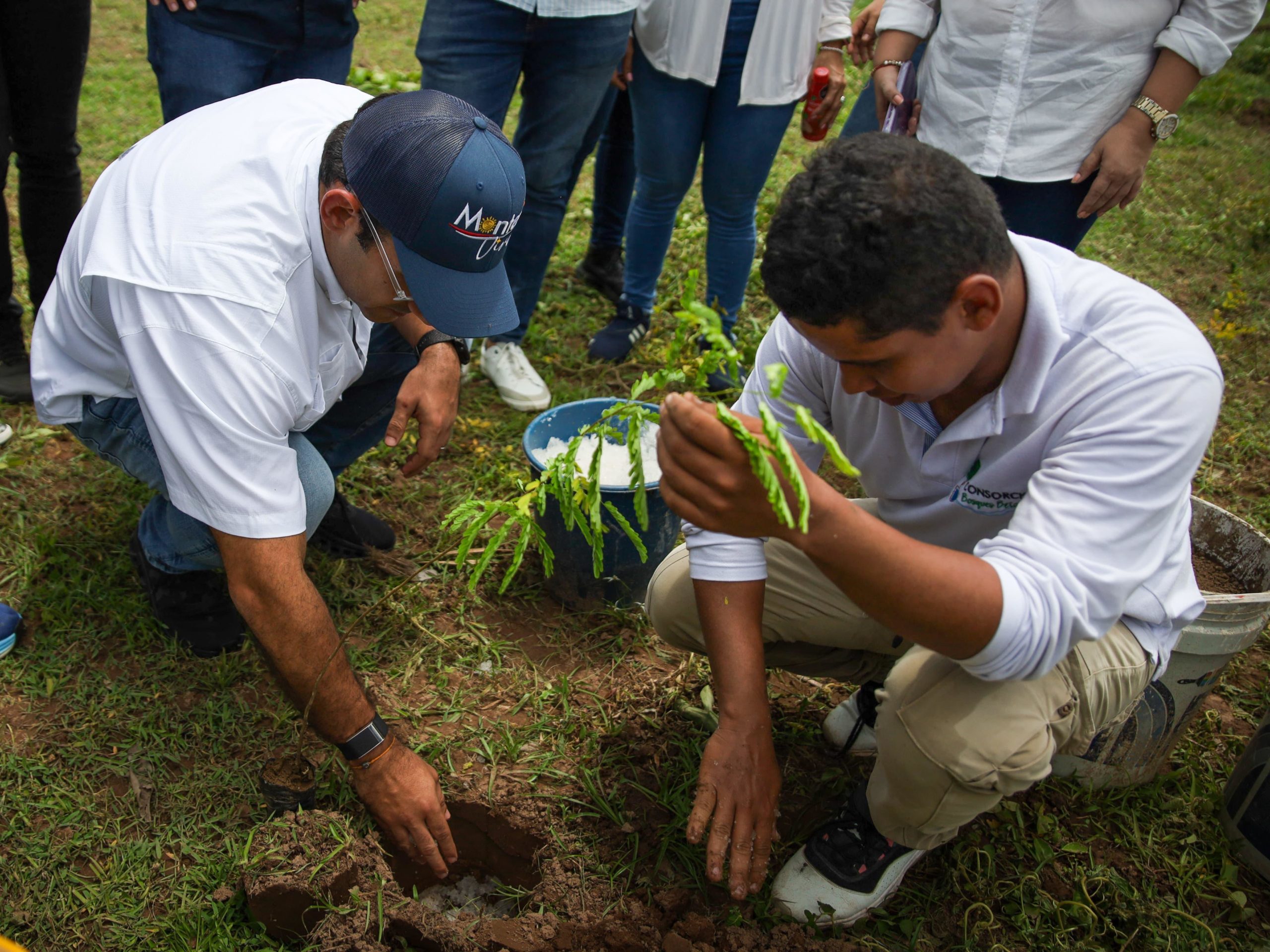 10/10 para el medio ambiente: Alcalde Kerguelén lideró la siembra de los primeros 1.100 árboles para la reforestación del Betancí