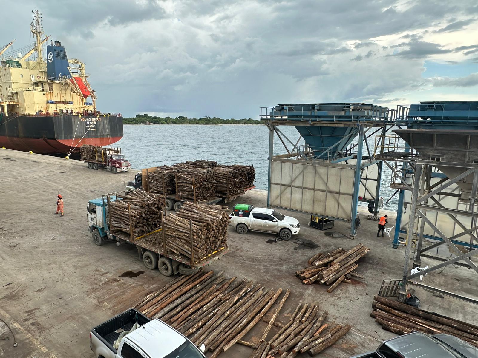 ¡Esto es histórico! Por primera vez Córdoba logró exportar madera hacia Europa