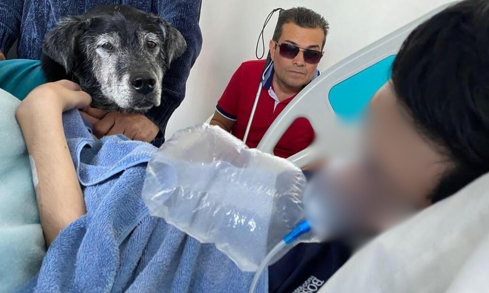 El ‘adiós’ que estaba esperando: paciente terminal falleció después de despedirse de su perrito