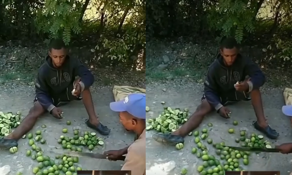 Hombre se ‘tumbó’ los limones de una finca y lo obligaron a comérselos ¿Fue lo correcto?