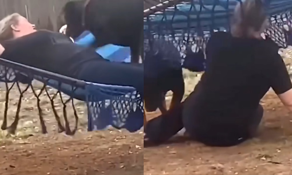 ¡Ya ni descansar se puede! Mujer y su perrito querían acostarse en una hamaca, pero la vida tenía otros planes