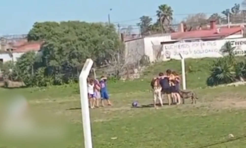 Niños rinden homenaje a perrito del barrio con minuto de silencio antes de partido de fútbol