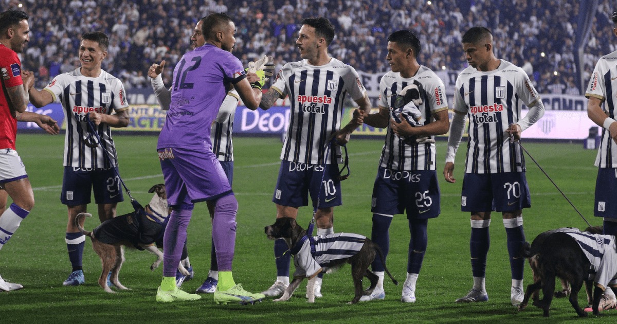 ¡Hermoso gesto! Jugadores promueven la adopción de perritos sin hogar en un partido de fútbol