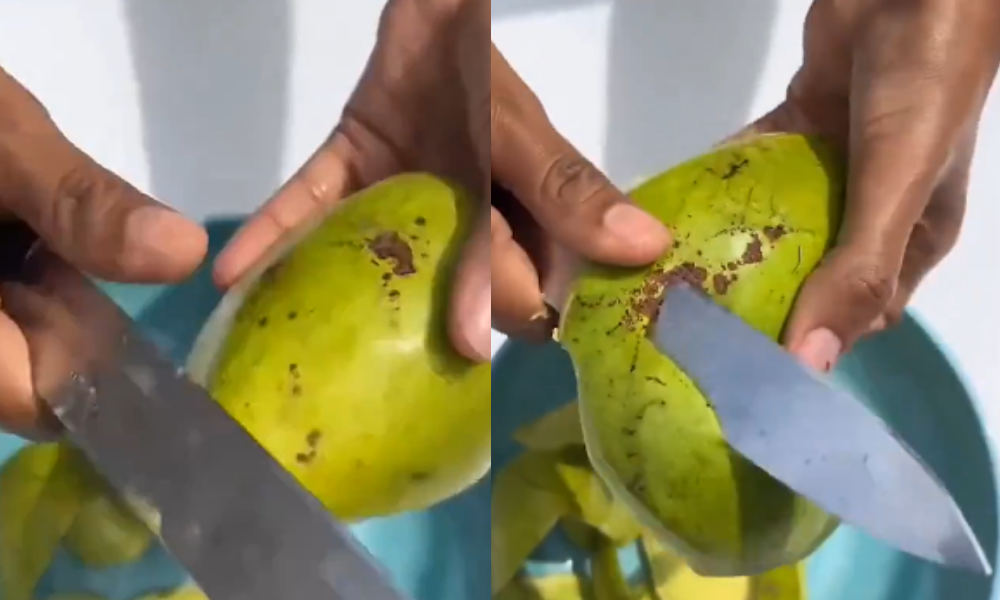 En redes sociales dicen que esta es la forma correcta de ‘pelar’ un aguacate ¿Está de acuerdo?