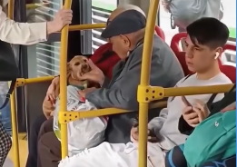 ¡El amor no tiene límites! Dos abuelitos hacen un viaje de amor con su perro en TransMilenio