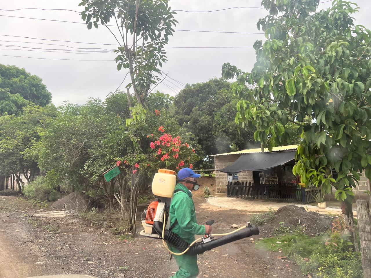 Alcaldía de Montería adelanta acciones para prevenir casos de dengue en la ciudad