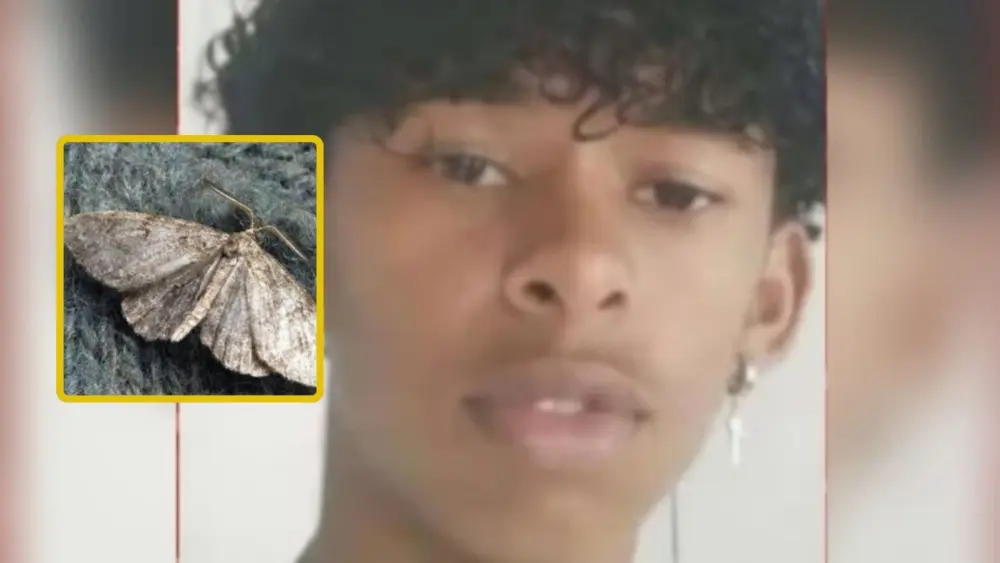 ¿A dónde vamos a parar? Se inyectó una mariposa para cumplir reto de TikTok y se murió