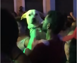 ¡Qué hermoso! La pareja de baile más tierna que verán hoy