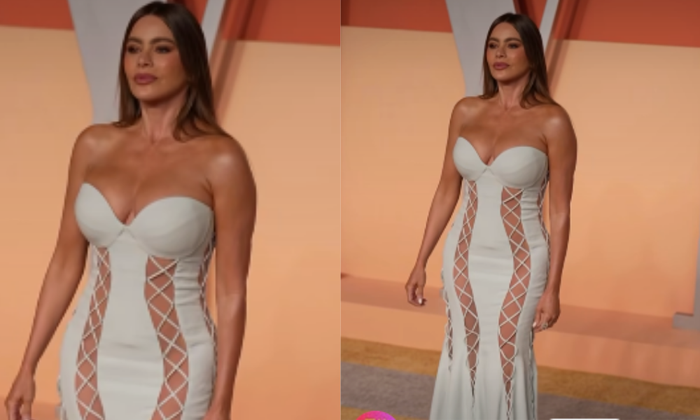 Sofía Vergara no usó ropa interior y causó sensación en los Premios Óscar