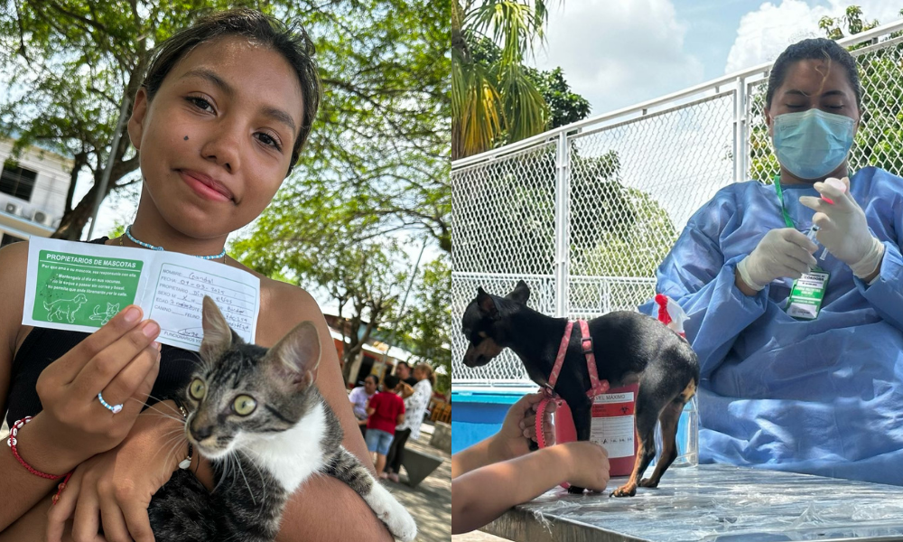 ¿Ya vacunó a su mascota? Córdoba avanza en el plan departamental de Vacunación Antirrábica a perros y gatos