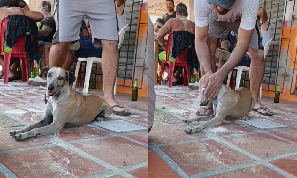 ¡En época de carnavales en Barranquilla no se salva nadie!